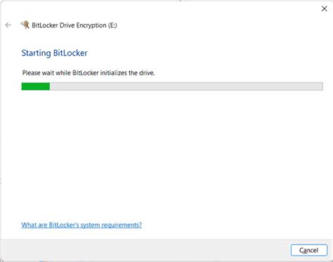 Image result for Choose Enable BitLocker Windows 11