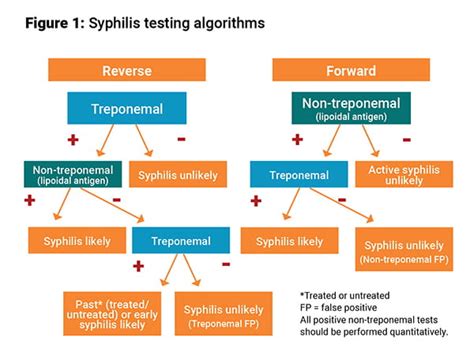 Syphilis Testing Algorithm に対する画像結果