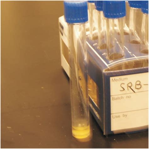 Toradh íomhá ar Interteck Sampling Kit