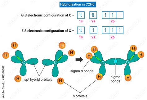 Hybridization Chart of CO2 に対する画像結果