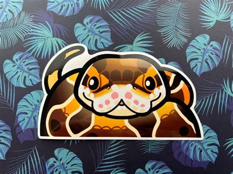 Image result for Python Decal