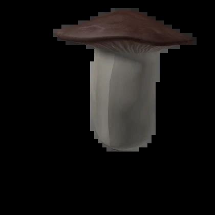 Roblox UGC Foot Fungus に対する画像結果