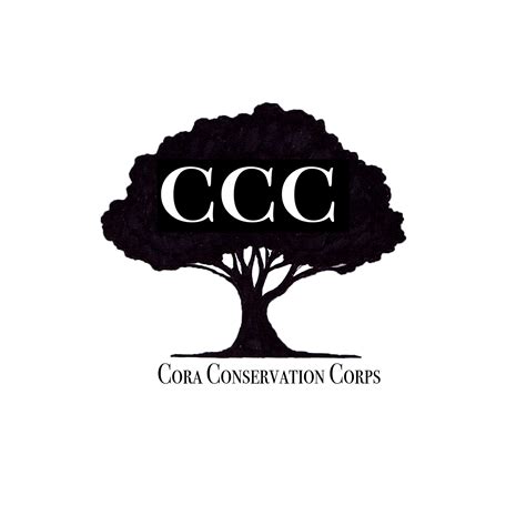 Image result for CCC Logo Cube