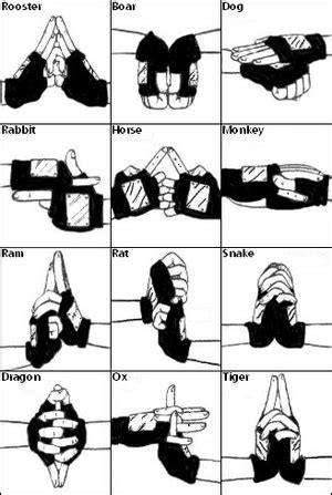 Afbeeldingsresultaten voor Sasuke Hand Signs
