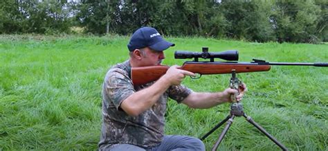 Image result for Best Air Gun Model