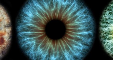 Science Vision and Principles に対する画像結果