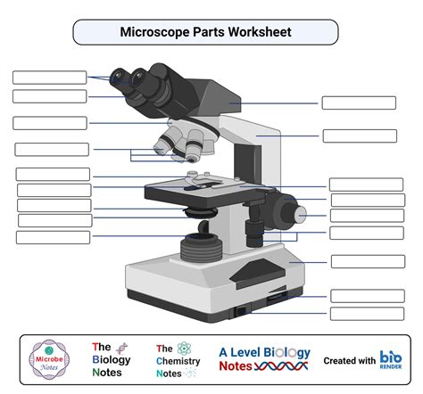 Image result for Light Microscope Printable Image