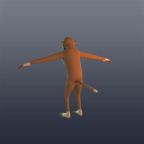 Image result for How to Make Monkey Model