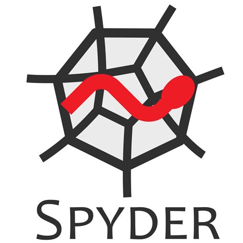Image result for Spyder Python Coding Practice
