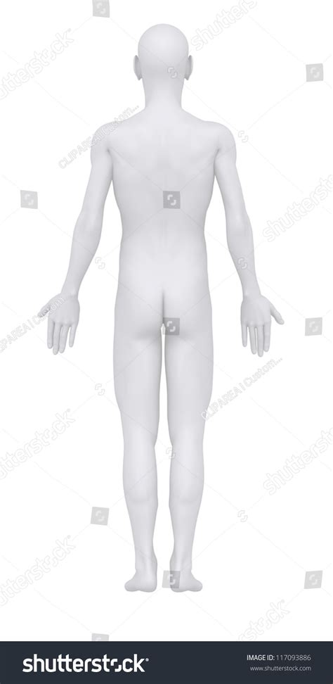 Afbeeldingsresultaten voor Anatomical Position Blank Diagram