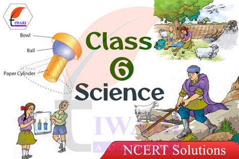 Standard 6 Science Textbook Chapter Name に対する画像結果