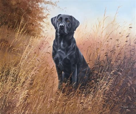 Afbeeldingsresultaten voor Labrador Painting