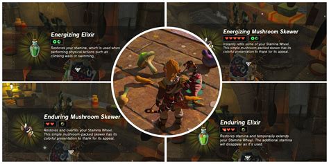 Image result for Elixir Recipes