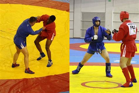Image result for WW2 Combat Sambo