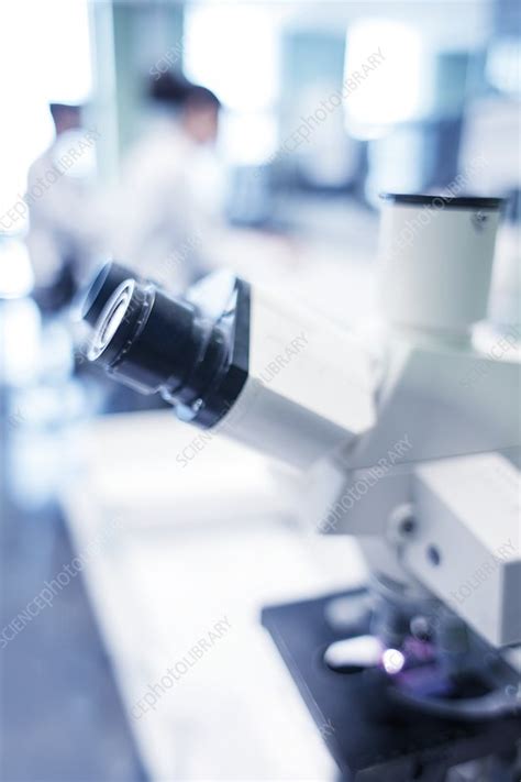 Toradh íomhá ar Microscope in Lab