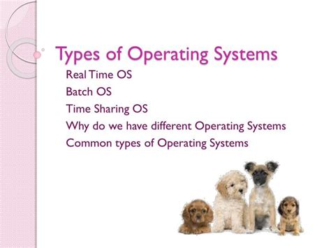 Image result for Types of Operating Systems in Slide Image Form