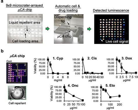 Image result for 3D Microarray