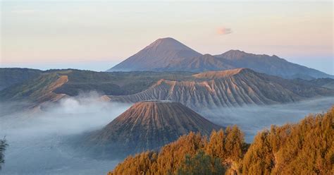 Image result for Java Mame