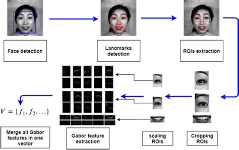 Image result for Feature Extraction HD Images