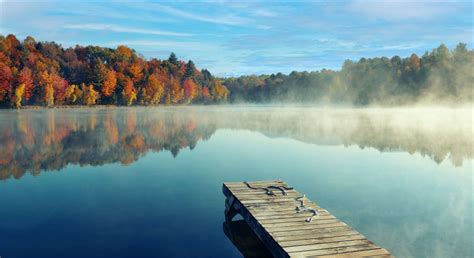 Toradh íomhá ar Downloadable Forms