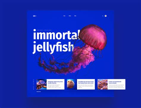 Square Interface に対する画像結果