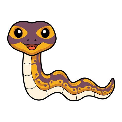 Toradh íomhá ar Ball Python Snake Cartoon Drawing