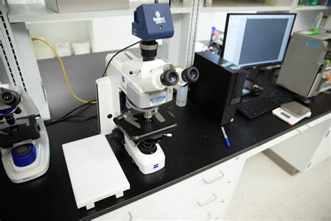 Image result for Compound Microscope with Creator