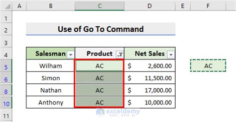 Image result for Excel Filter Copy/Paste Visible Cells Only