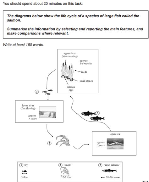 Image result for Process. Describe Task 1