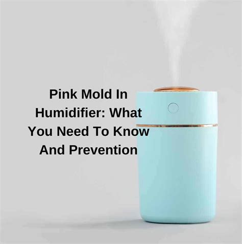 Toradh íomhá ar No Mold Humidifier