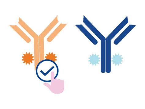 Image result for BD Flow Cytometry Training