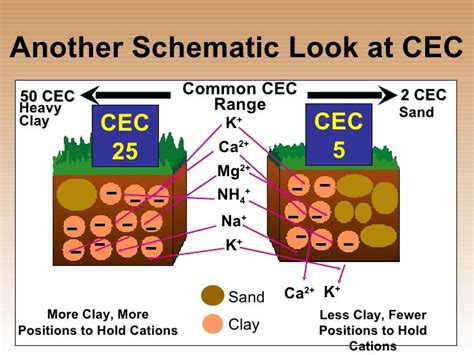 Afbeeldingsresultaten voor Sand/Silt Clay CEC