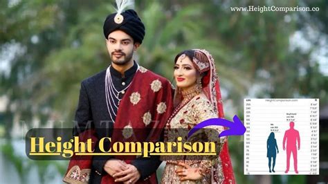 Image result for Height Comparison On Java