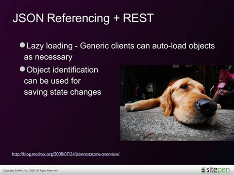 JSON Reference に対する画像結果