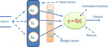 Single Neuron Model に対する画像結果