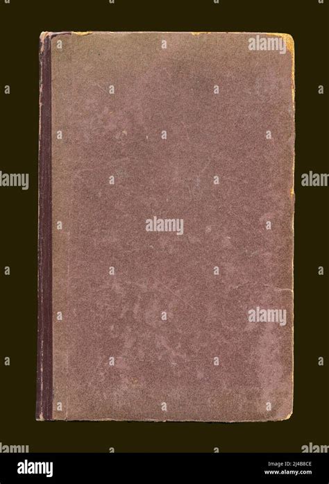 Image result for Python Book Cover without Title