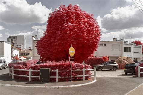 Image result for Design Effectiveness Testing