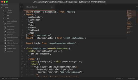 Image result for Sublime Text JavaScript