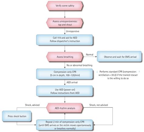 ACLS Asystole Algorithm に対する画像結果