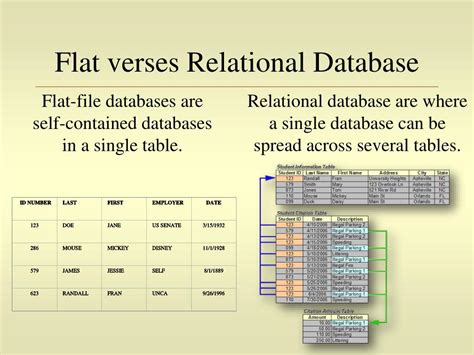 Relational Algebra in Flat File Database に対する画像結果