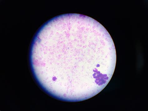 Toradh íomhá ar 4 Classification of Computer