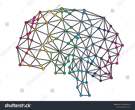 Image result for Brain Network Drawing
