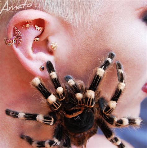 Large Ear-Piercing に対する画像結果