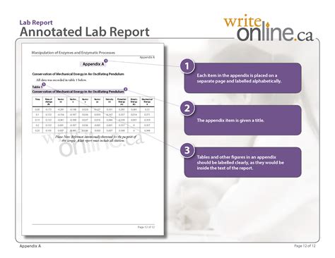Sample Appendix in Lab Report に対する画像結果