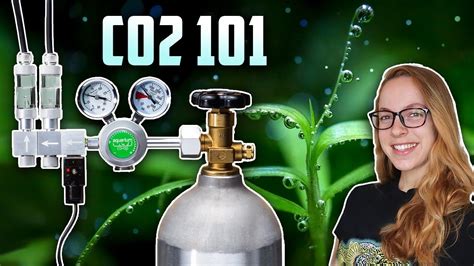 How to Add CO2 to Aquarium എന്നതിനുള്ള ഇമേജ് ഫലം
