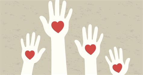 Image result for Caring for Persimmon Tree