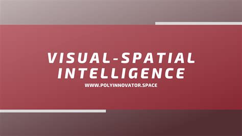 Visual-Spatial Intelligence