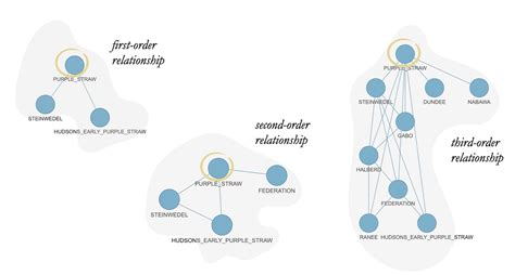 Image result for Prediction in Machine Learning Graph