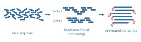 Image result for Comparative Transcriptome Assembly Between Two Species