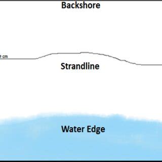 Composite Sampling at Beach に対する画像結果